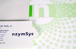 nzymsys identity view 4