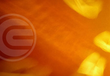 The Caplan Group identity view 1