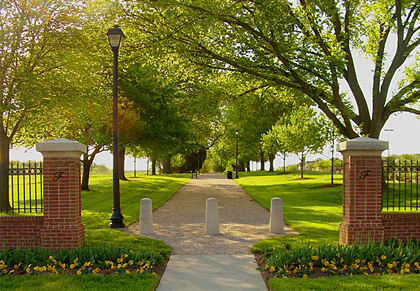 Photography Examples - Fairwood Community 2 view 1